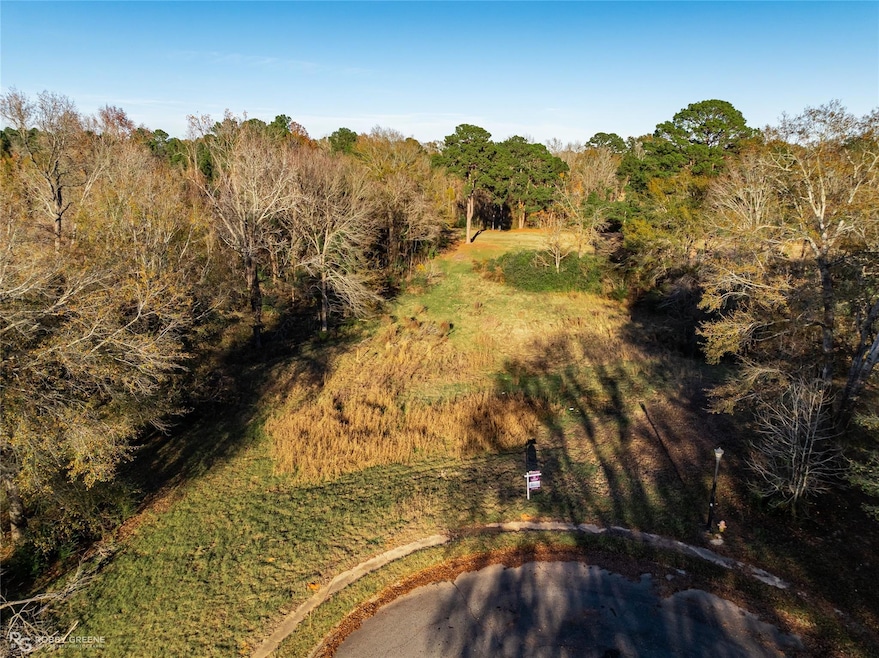 20 Fox Trot Cove, Haughton, LA 71037 - photo 1