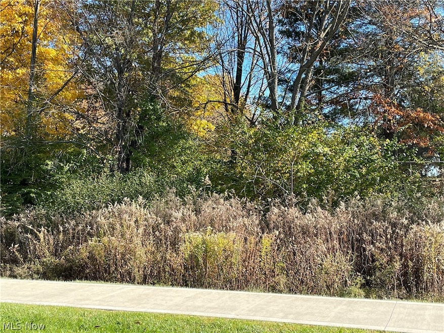 V/L Lawnmark Dr, Hudson, OH 44236 - photo 1