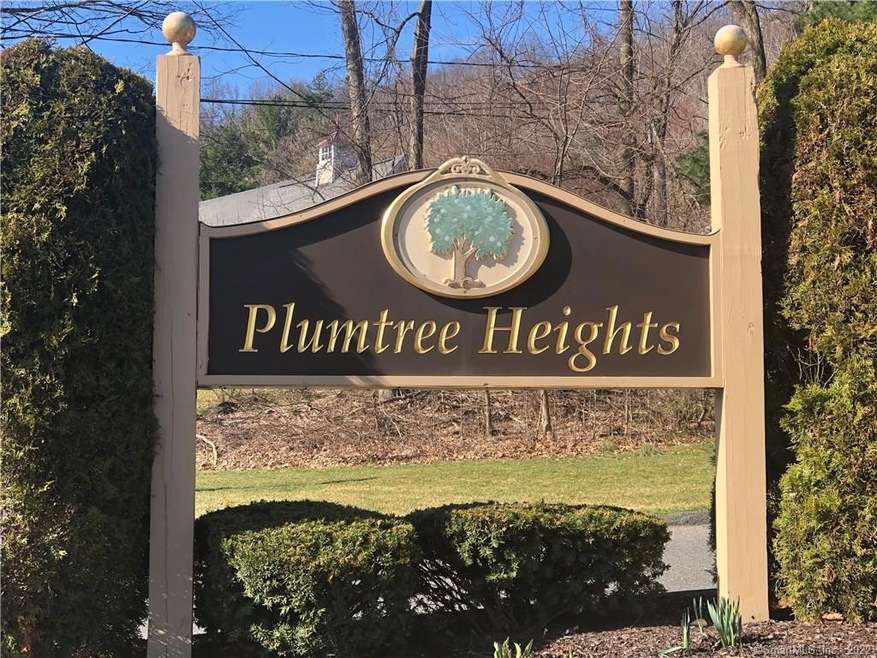 54 Natureview Trail, Bethel, CT 06801 - photo 1