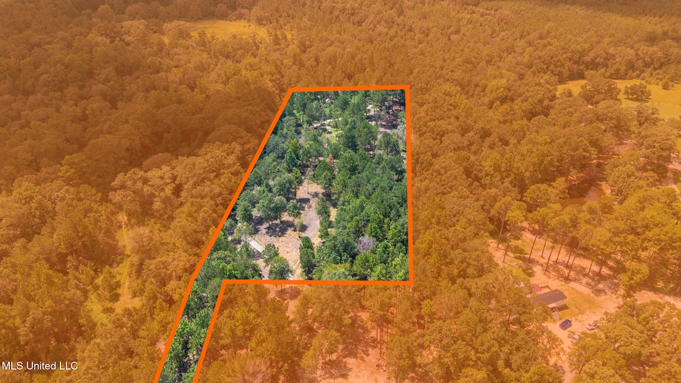 0 W Mchenry Rd, McHenry, MS 39561 - photo 1