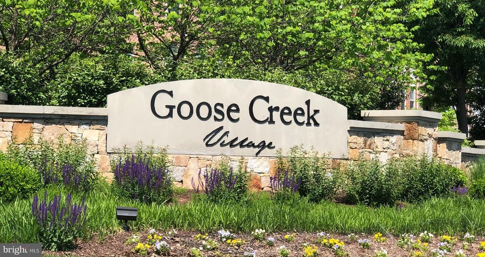 20608 Maitland Terrace, Ashburn, VA 20147 - photo 1