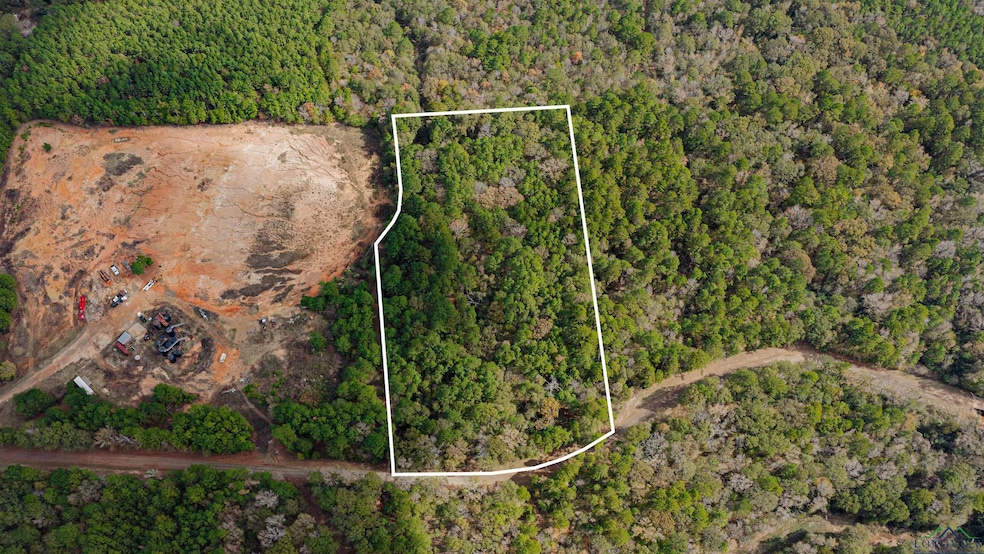 TBD Cr 162, Kilgore, TX 75662 - photo 1