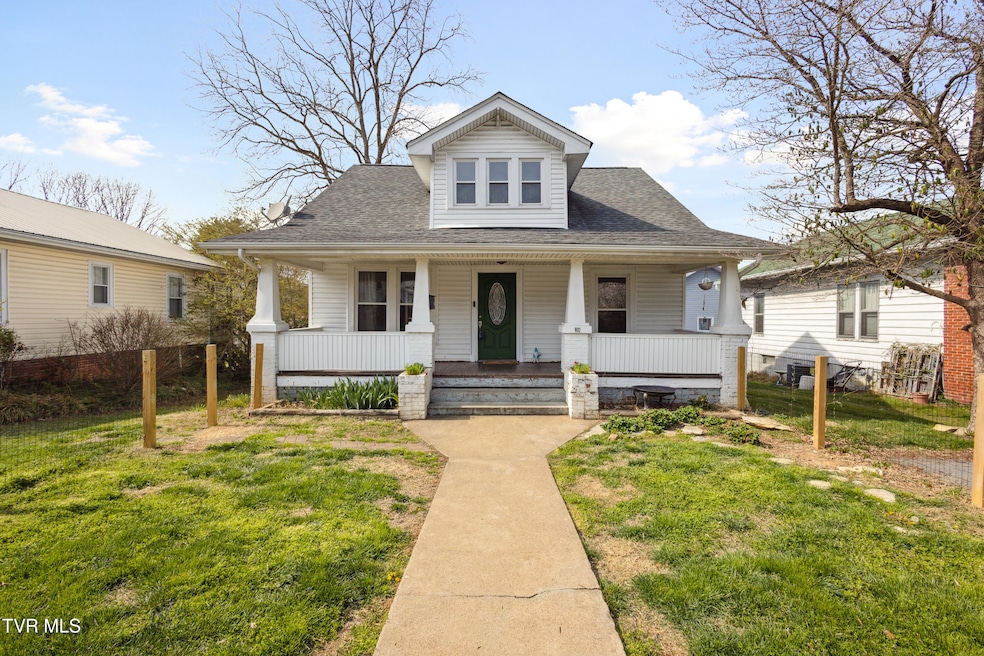 102 W Locust St, Johnson City, TN 37604 - photo 1