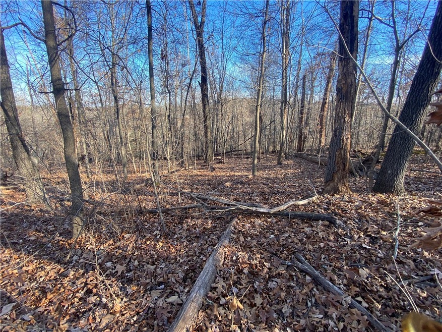 0 Lots 15 & 16 Nidd Ln unit 1262577, Bella Vista, AR 72714 - photo 1