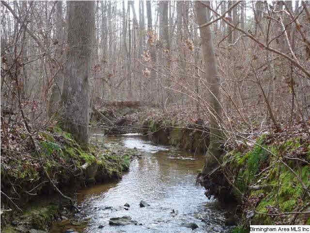 This creek is in the bottom of this hollow and for