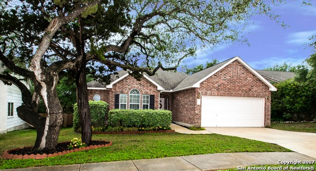 35 Roan Heights, San Antonio, TX 78259 - photo 1