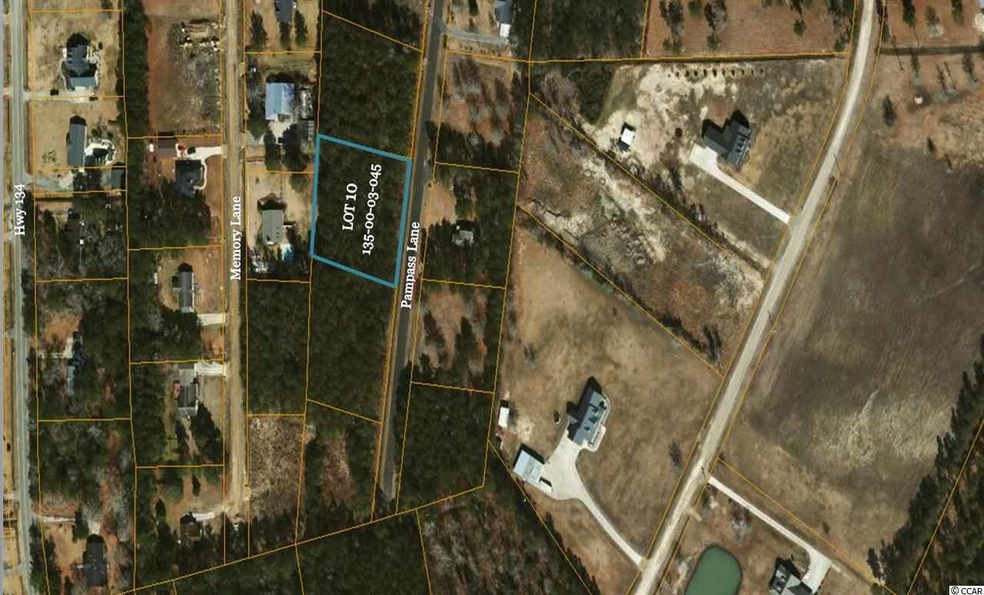 Lot 10 Pampass Ln unit Pampass Lane, Conway, SC 29527 - photo 1