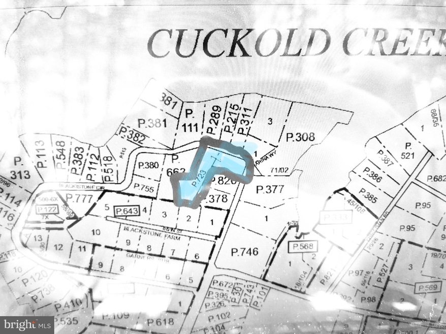 45071 Blackistone Cir, Hollywood, MD 20636 - photo 1