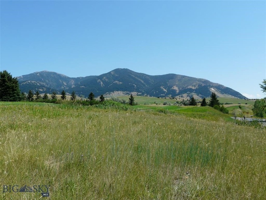 View from homesite