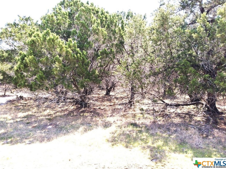 5105 Comanche Dr, Temple, TX 76502 - photo 1