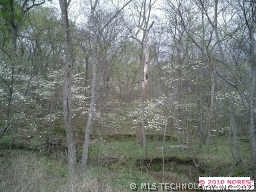 16651 Hubbard Road, Claremore, OK 74017. 2.64 wood