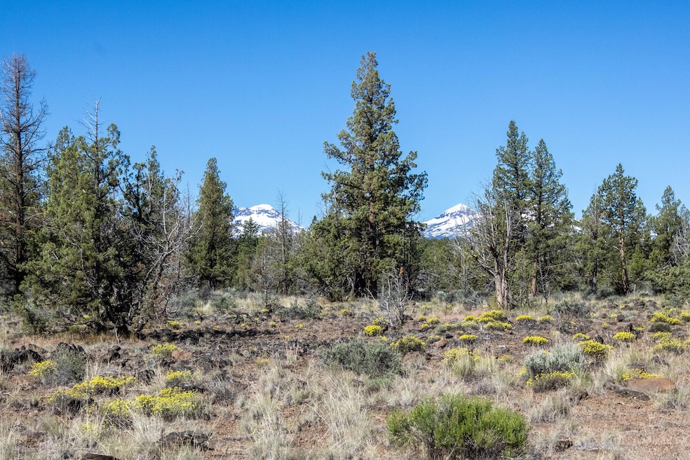2021_06_17_67483_trout_ln_lot_sisters-33