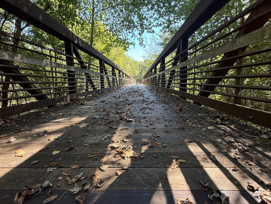 1955 Belgrade Rd, Brookport, IL 62910 - photo 1