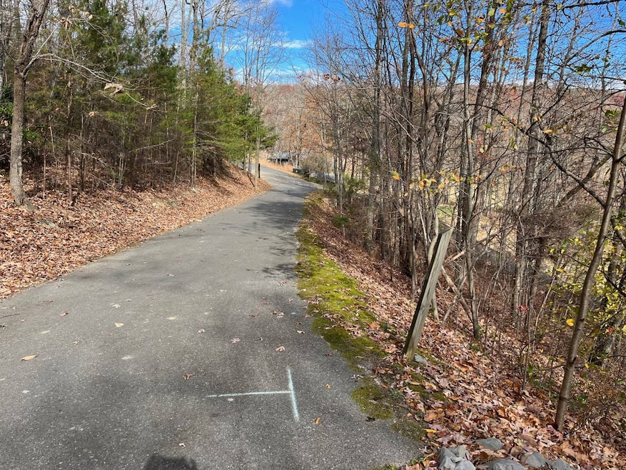 0 Eagle Creek Trail unit 13G, Rising Fawn, GA 30738 - photo 1