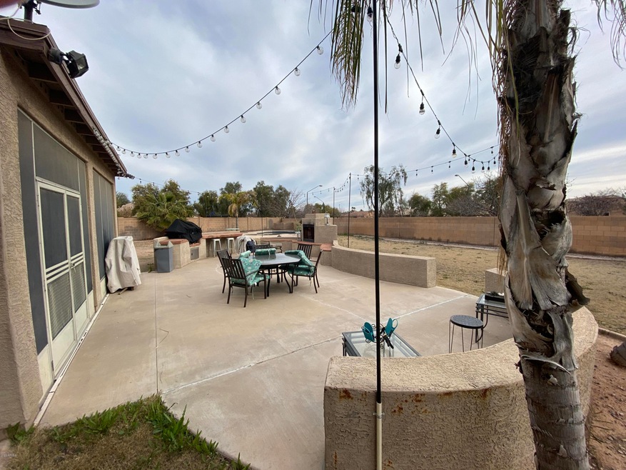 Backyard 1