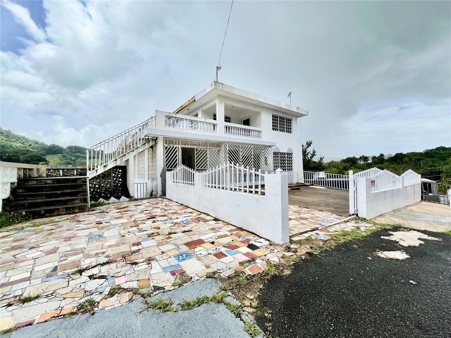 PR-164 Lomas Jaguas Ward, Naranjito, PR 00719 - photo 1