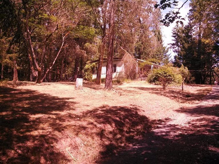 Primary Photo
