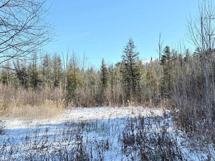 0 Hank Wilson Rd, Cadyville, NY 12918 - photo 1