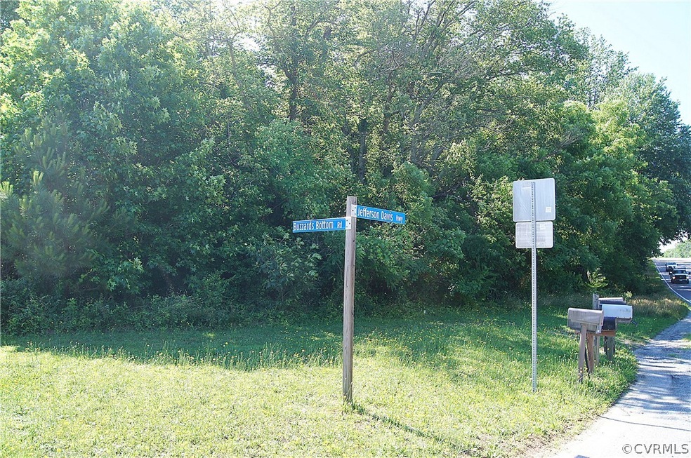 0 Buzzards Bottom Rd unit 2117934, Caroline, VA 22546 - photo 1
