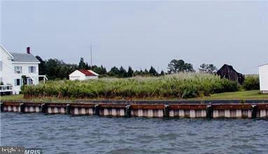 0 Tylerton Rd unit MDSO2003212, Tylerton, MD 21866 - photo 1