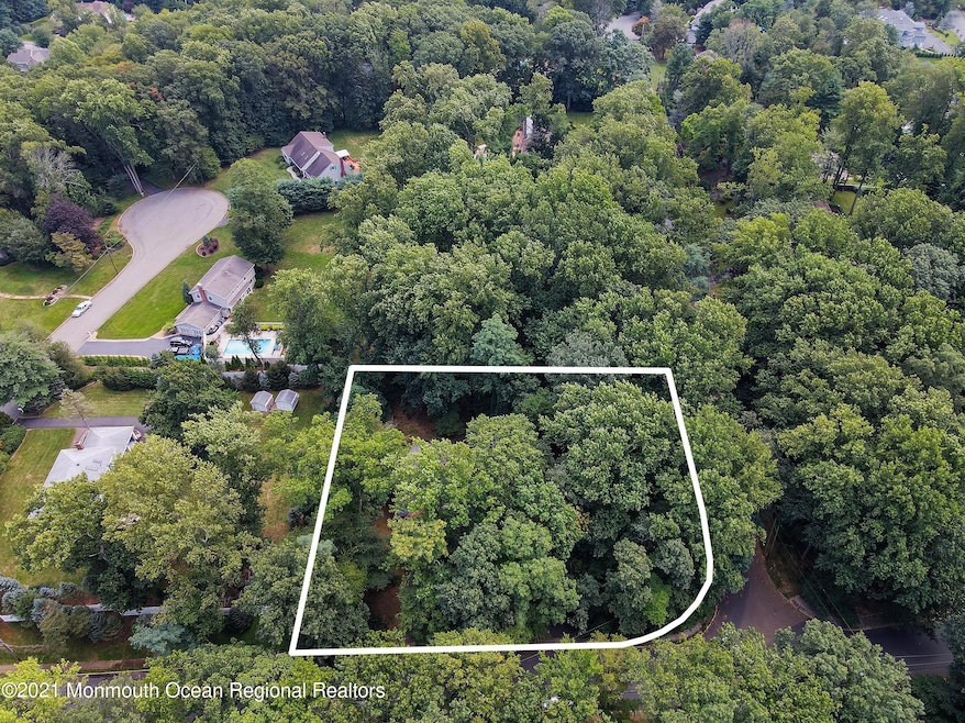 8 Deer Path, Holmdel, NJ 07733 - photo 1