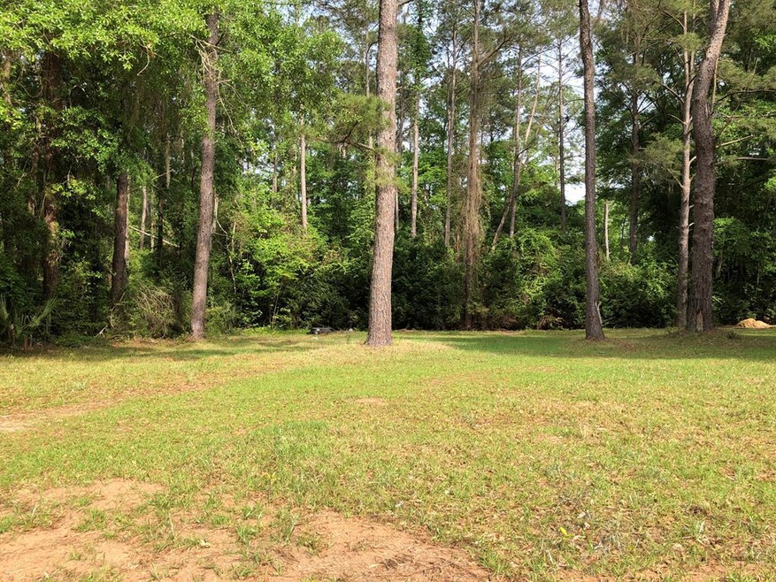 0 Cork Ferry Rd, Cordele, GA 31015 - photo 1