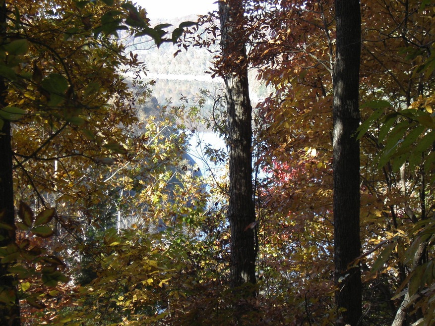 Daniel River View