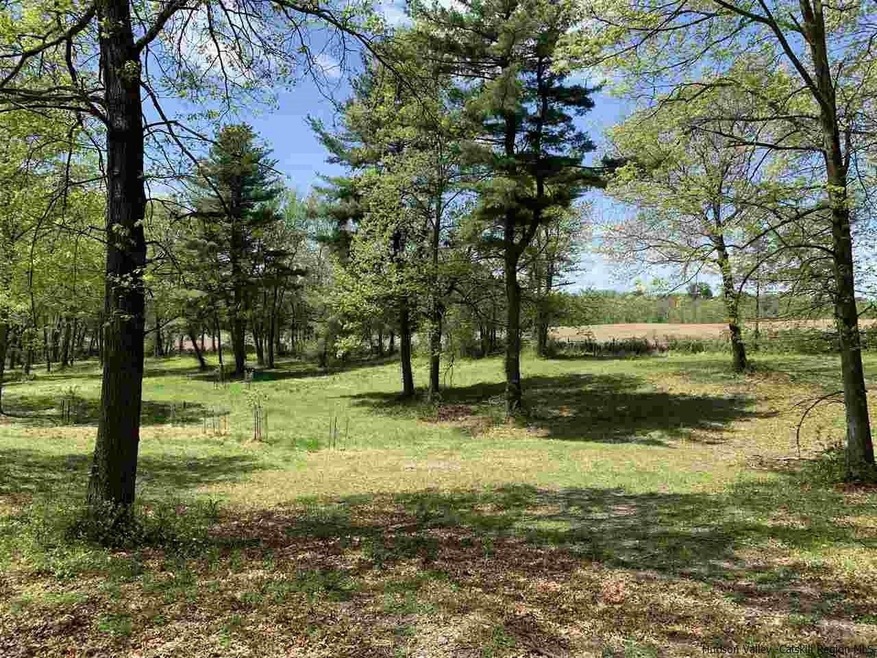 207 Pleasantvale Rd, Tivoli, NY 12583 - photo 1