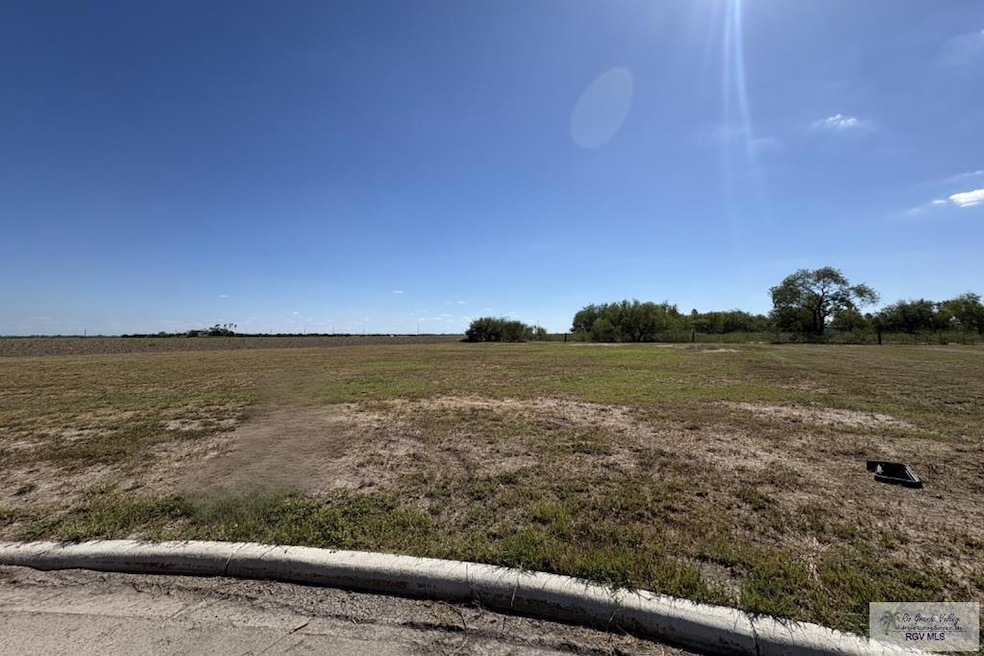 LOT 22 Jordan Dr unit LOT 22, La Feria, TX 78559 - photo 1