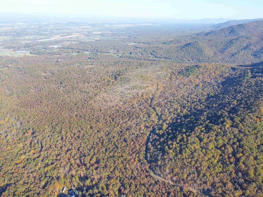 tbd1 Calf Mountain Rd, Waynesboro, VA 22980 - photo 1