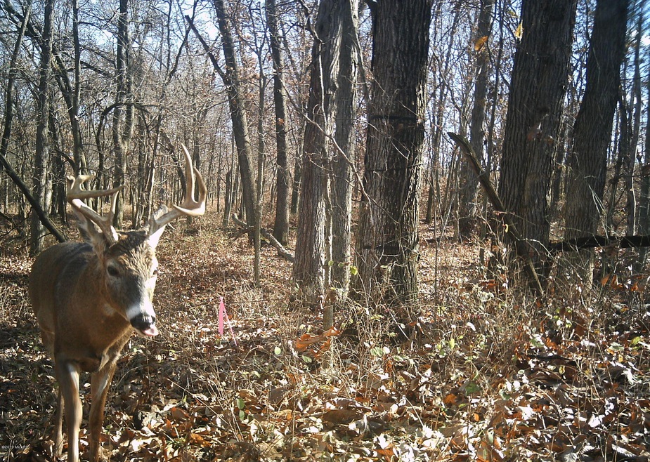 8 pt close