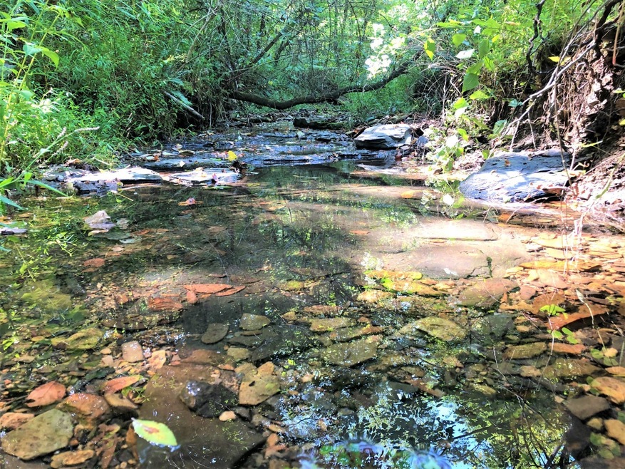 Multiple creeks and springs