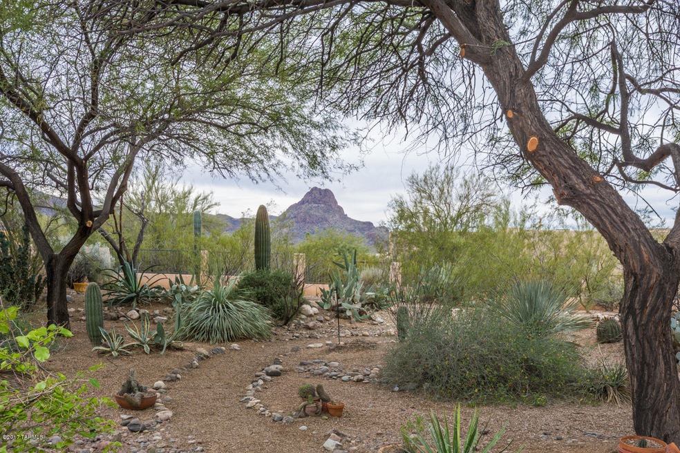 back yard view