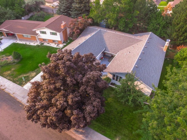 Main View