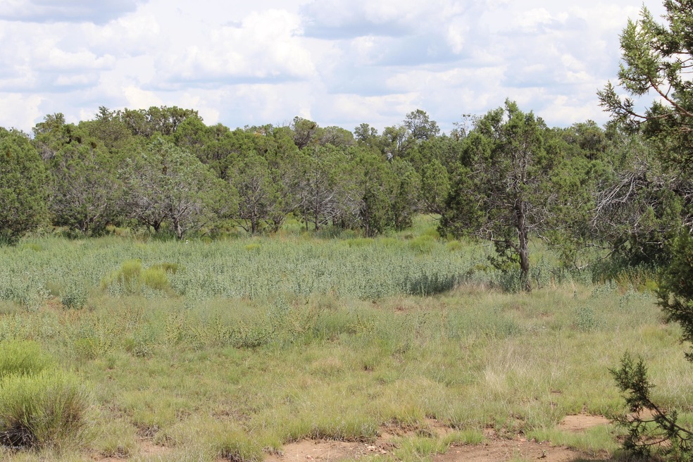 Tbd High Mountain Rd, Peach Springs, AZ 86434 - photo 1