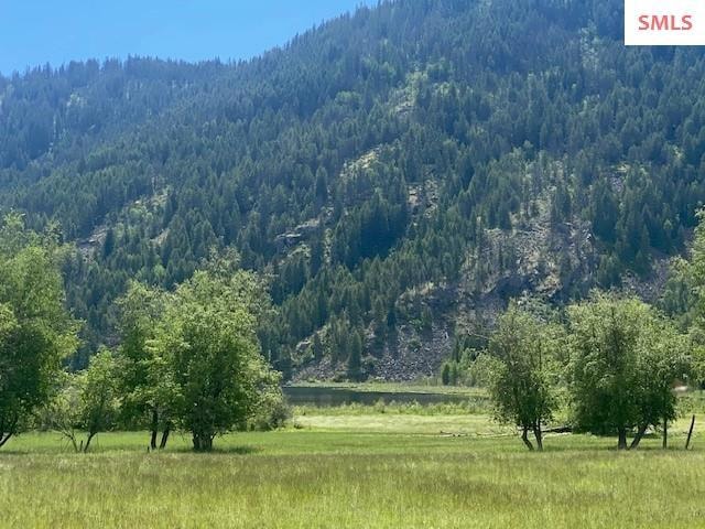 NNA (7800) 20 Ac Blue Lake Rd, Priest River, ID 83856 - photo 1