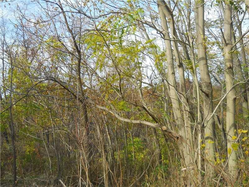 252 & 253 Eckles Dr, New Kensington, PA 15068 - photo 1