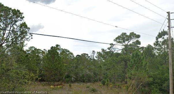 203 Sunnyside Dr, Lake Placid, FL 33852 - photo 1