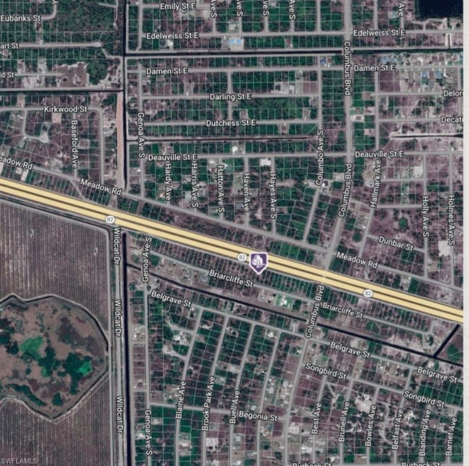 1173 Briarcliffe St, Fort Myers, FL 33913 - photo 1