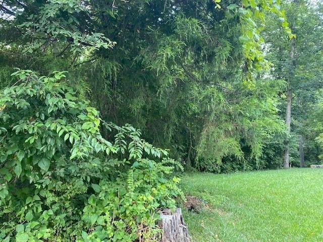 Lot 14 Burns Cir, Bella Vista, AR 72714 - photo 1