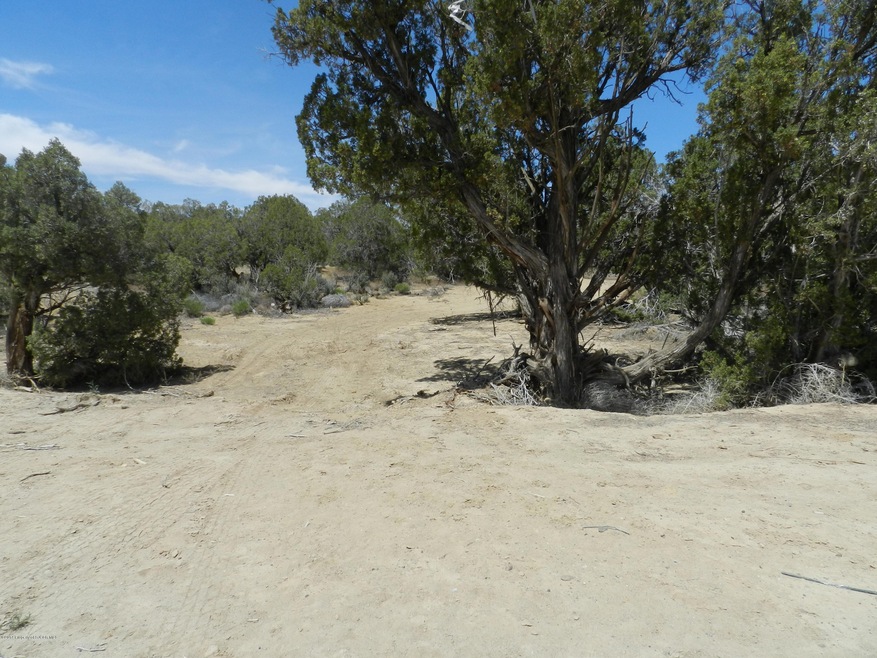 6535 Club House Dr, Farmington, NM 87402 - photo 1