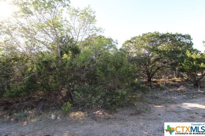 5033 Comanche Dr, Temple, TX 76502 - photo 1