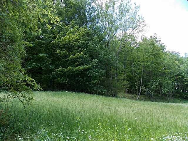 0 Sugar Grove Rd unit 213018656, Sugar Grove, OH 43155 - photo 1