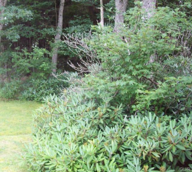 198 Mountain View Dr, Jim Thorpe, PA 18229 - photo 1