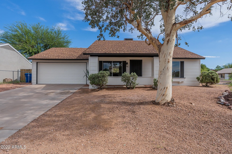 Hackamore-3