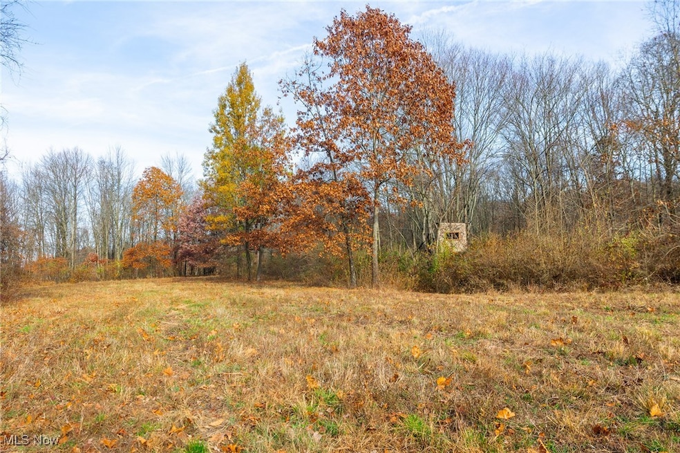 0 Township Road 1239, Washington Township, OH 43821 - photo 1