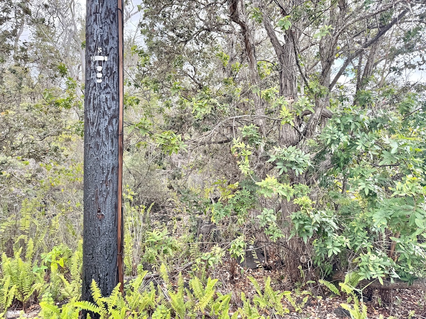 Pole 5 will provide overhead power to Lot 25 Block 80 Paradise Parkway.