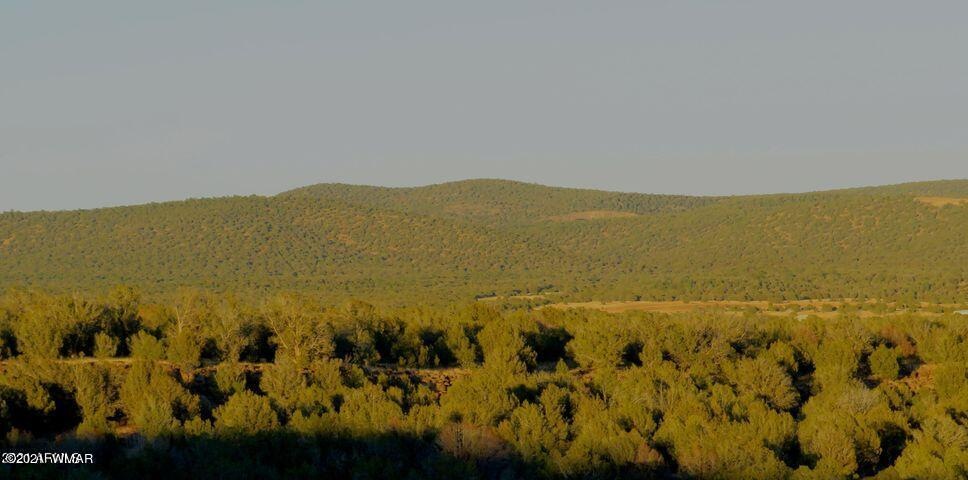 Ash Fork