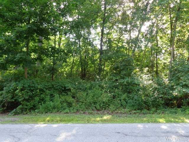 Land/Lot