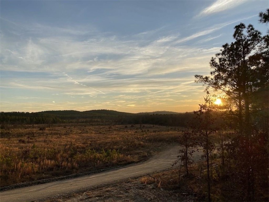 177 Green Tree Ln, Broken Bow, OK 74728 - photo 1